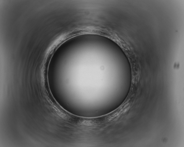 X0000098110341200804041349