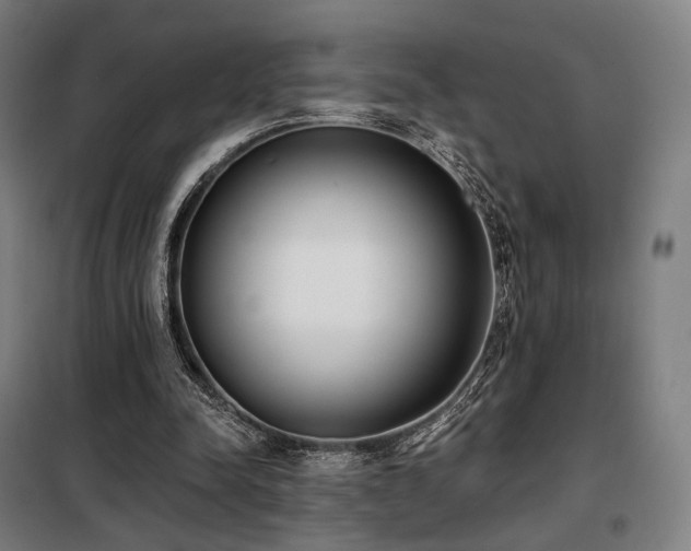 X0000098110342200804041349