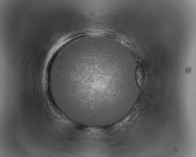 X0000098110343200804041349