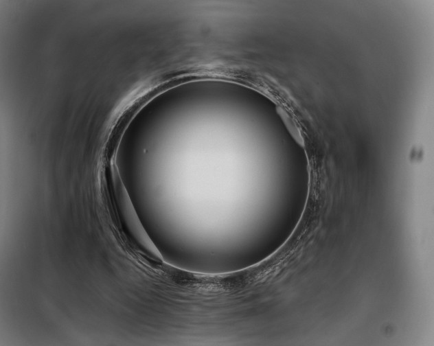 X0000098110344200804041349