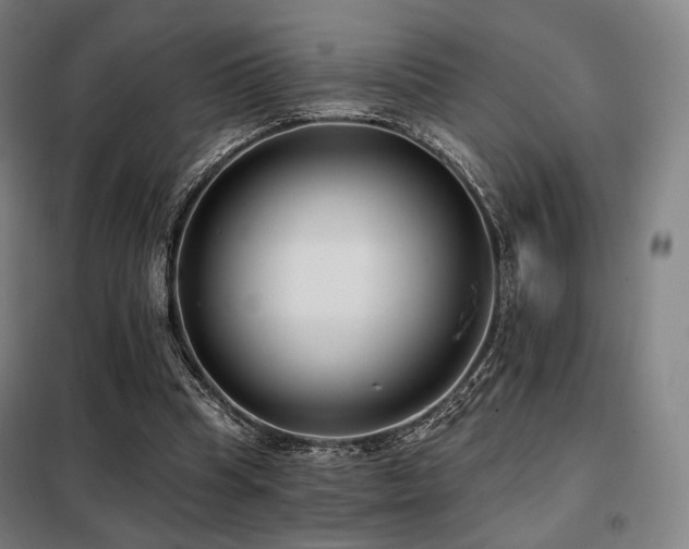 X0000098110345200804041349