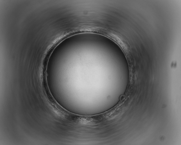 X0000098110346200804041349