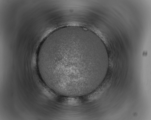 X0000098110347200804041349