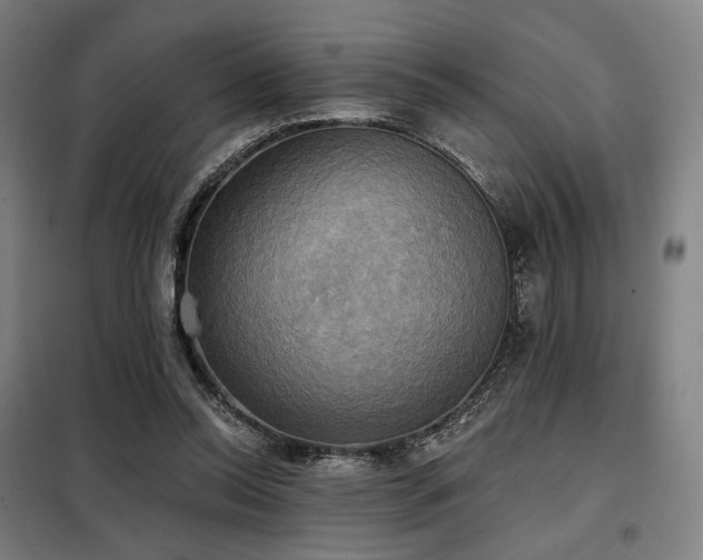 X0000098110350200804041349