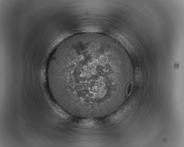 X0000098110351200804041349
