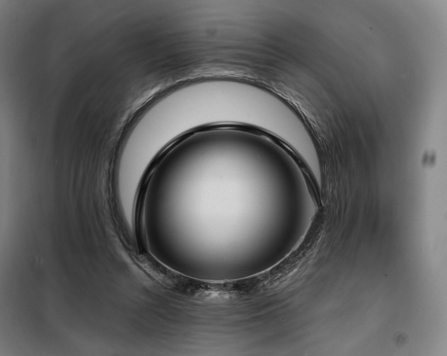 X0000098110352200804041350