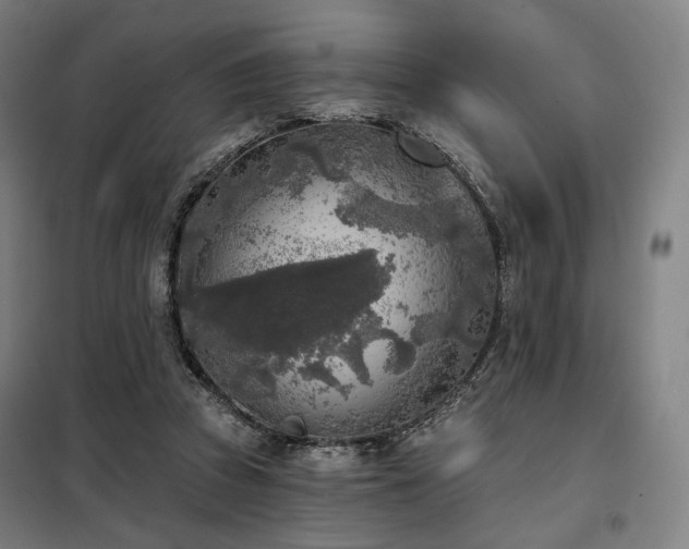 X0000098110353200804041350