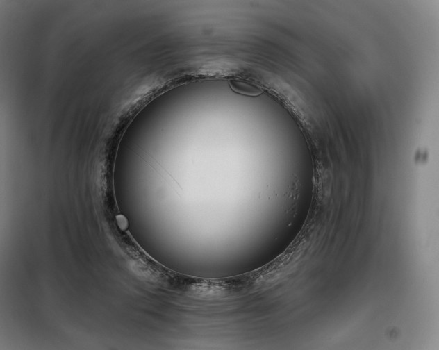 X0000098110354200804041350