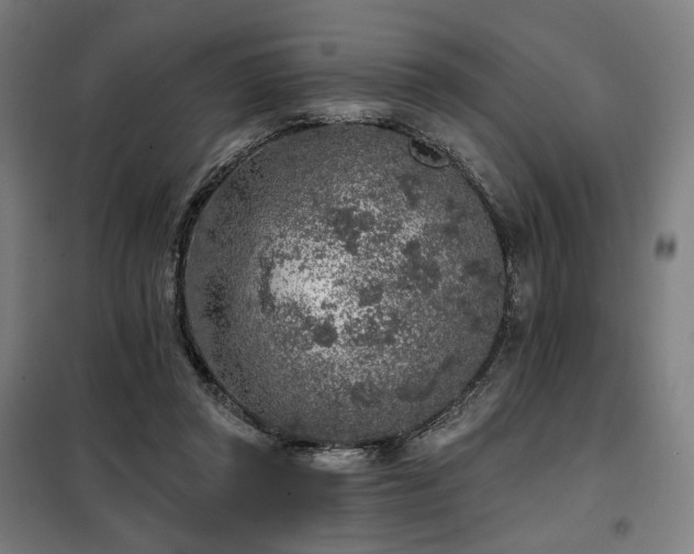 X0000098110357200804041350