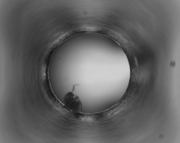 X0000098110358200804041350