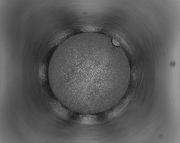 X0000098110359200804041350