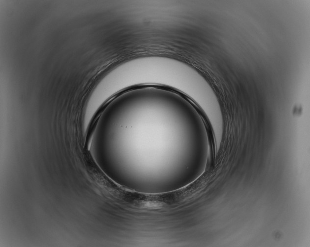 X0000098110360200804041350