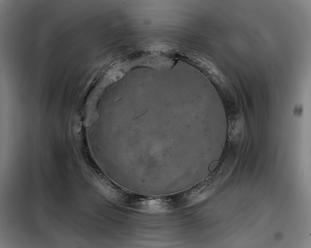 X0000098110365200804041350