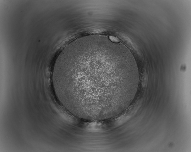 X0000098110366200804041350