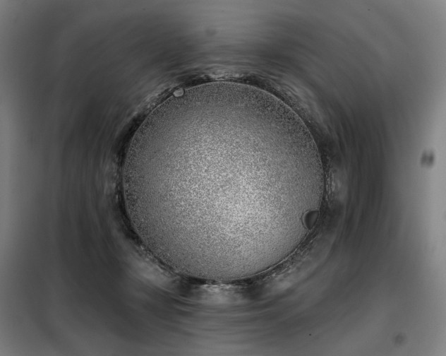 X0000098110367200804041350