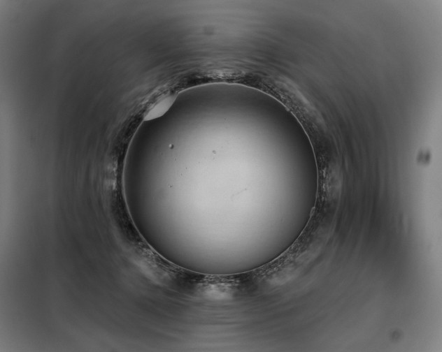 X0000098110368200804041350