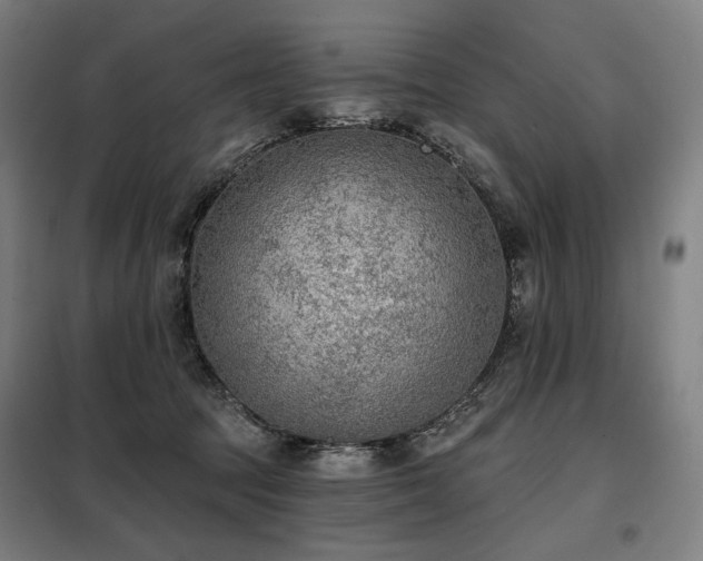 X0000098110369200804041350