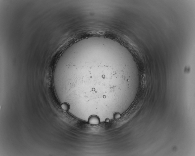 X0000098110370200804041350