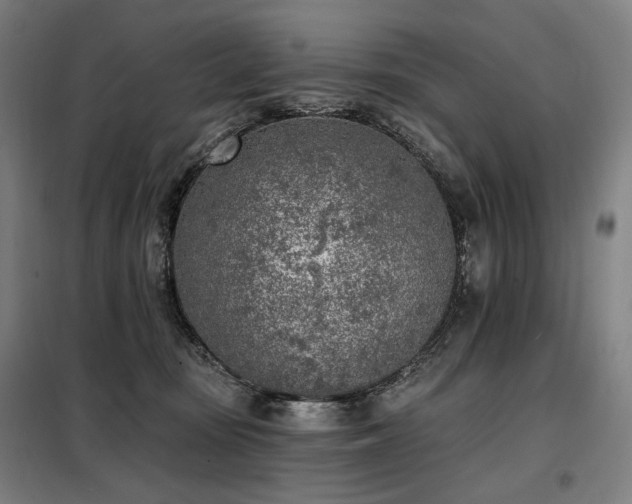X0000098110371200804041350