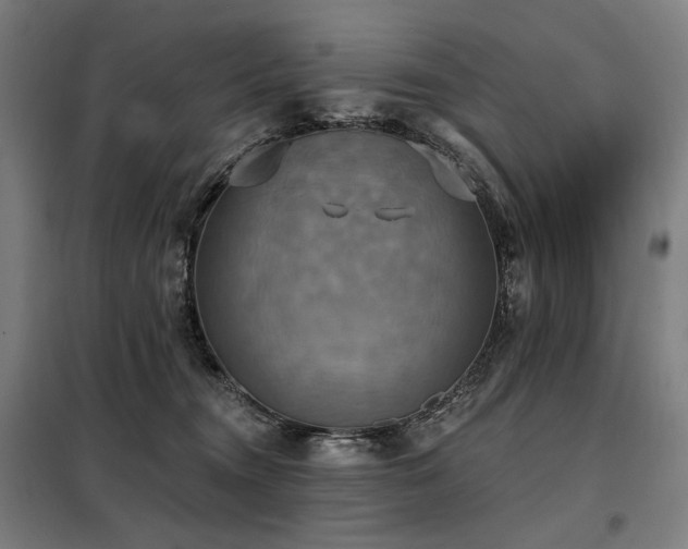 X0000098110372200804041350