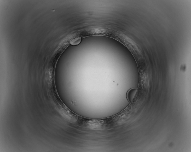 X0000098110373200804041350