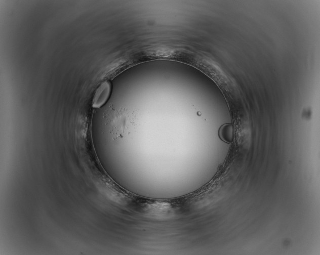 X0000098110374200804041350