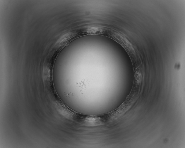 X0000098110375200804041350