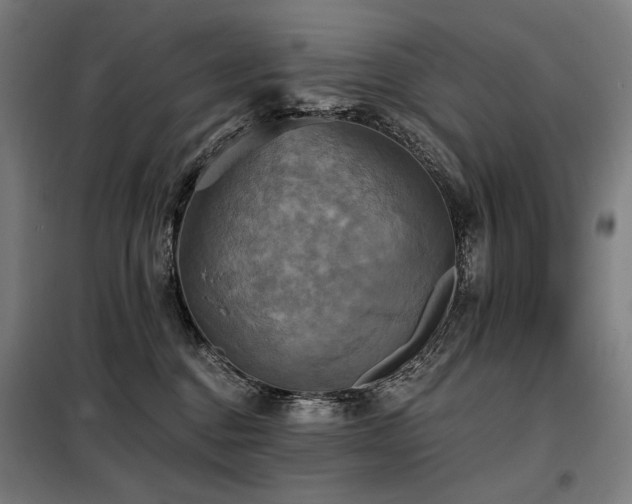 X0000098110376200804041350
