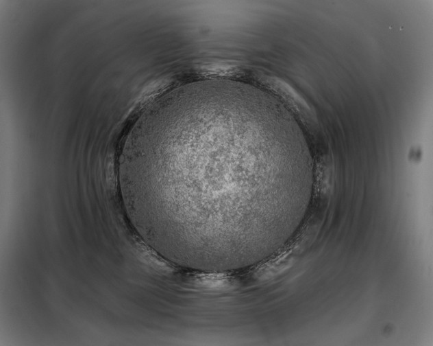X0000098110377200804041350