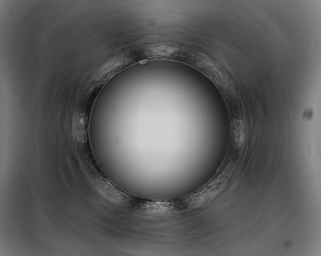 X0000098110378200804041350