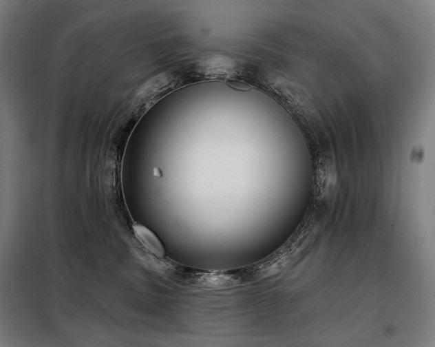 X0000098110379200804041350