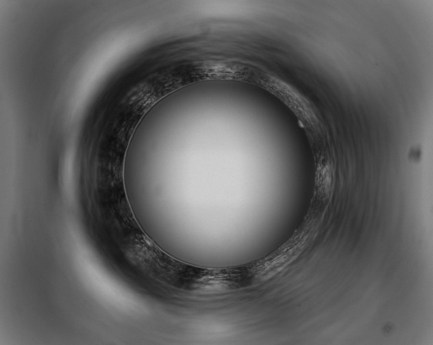 X0000098110381200804041350