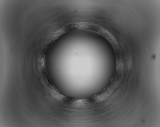 X0000098110382200804041350