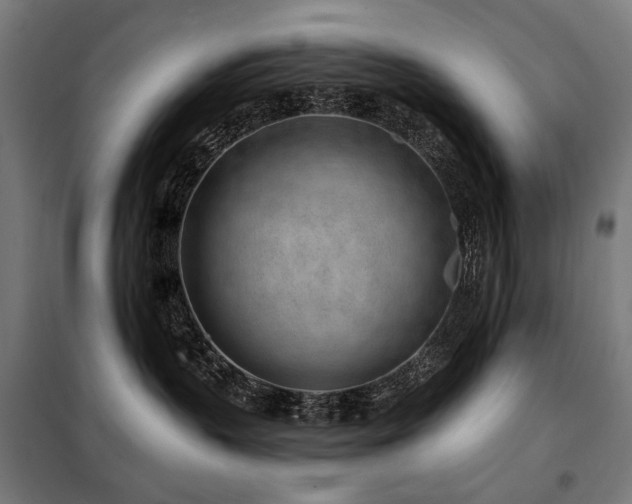 X0000098110383200804041350