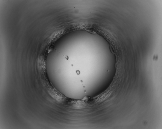 X0000098110384200804041350
