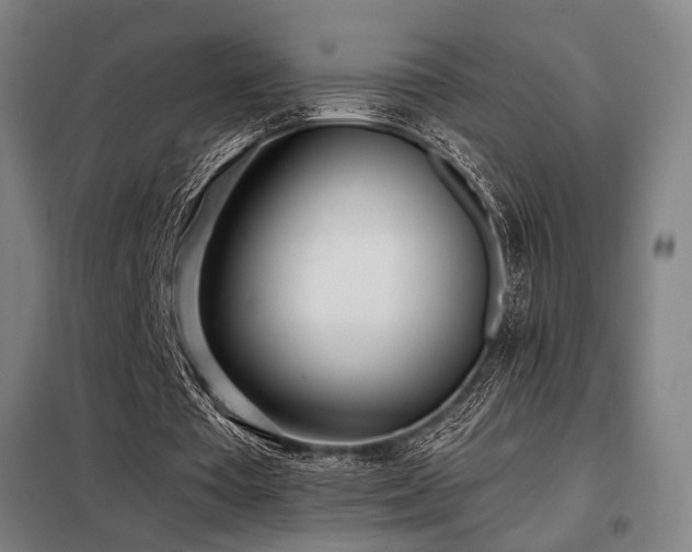 X0000098110385200804041349