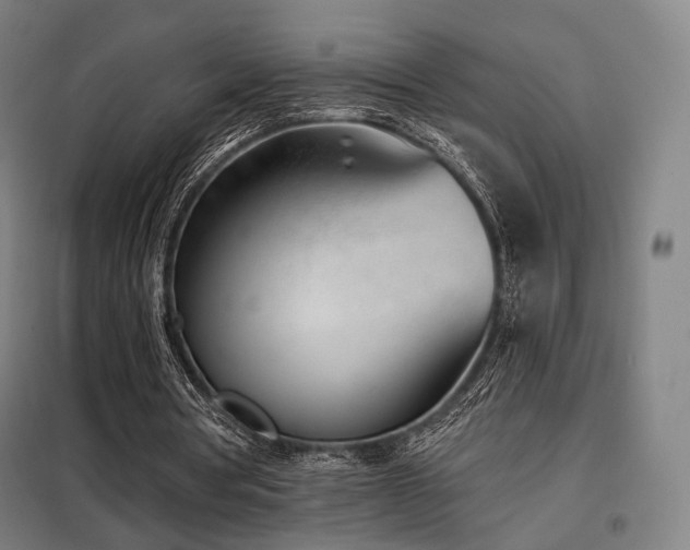 X0000098110386200804041349