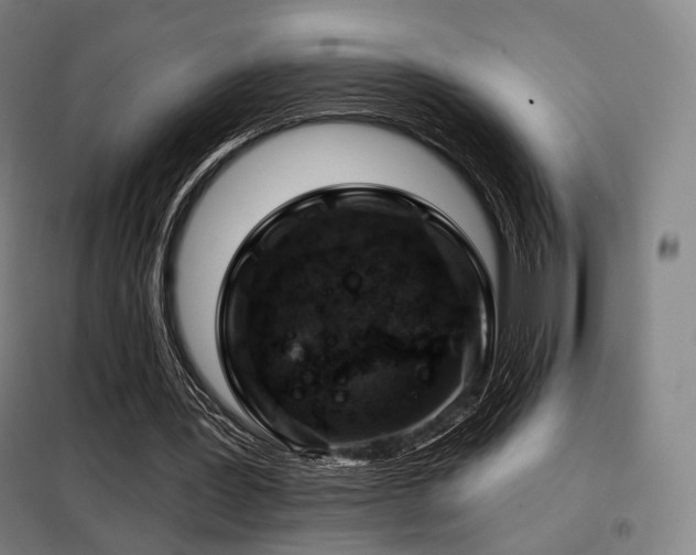 X0000098110387200804041349
