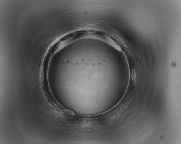 X0000098110388200804041349