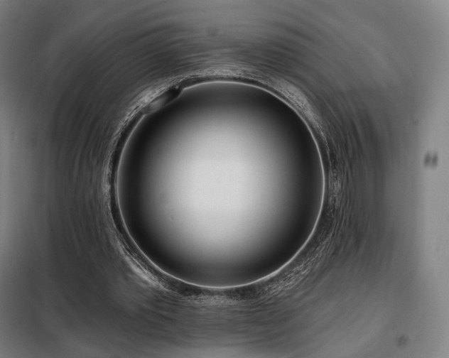 X0000098110389200804041349
