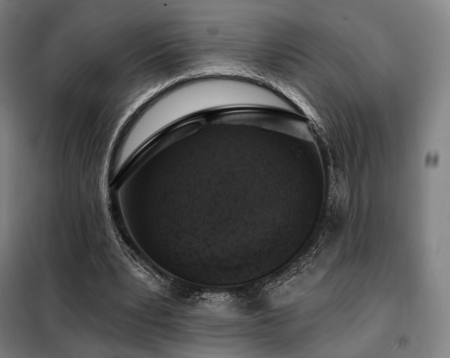 X0000098110391200804041349