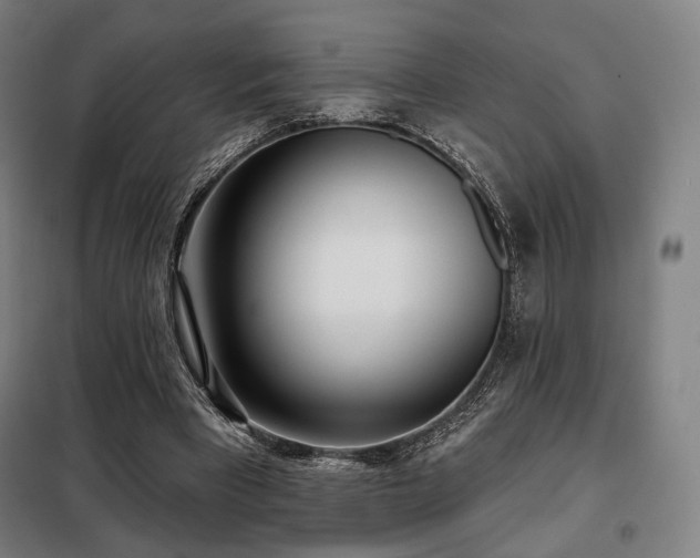 X0000098110393200804041349