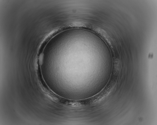 X0000098110395200804041349