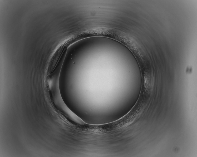X0000098110396200804041349