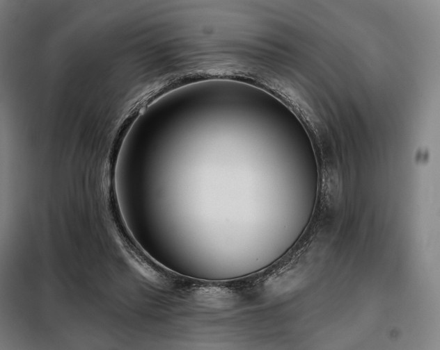 X0000098110397200804041349