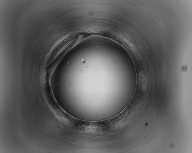 X0000098110400200804041349