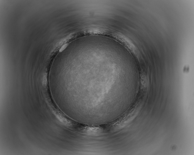 X0000098110401200804041349