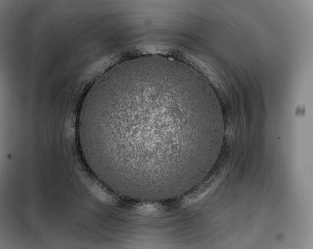 X0000098110402200804041349