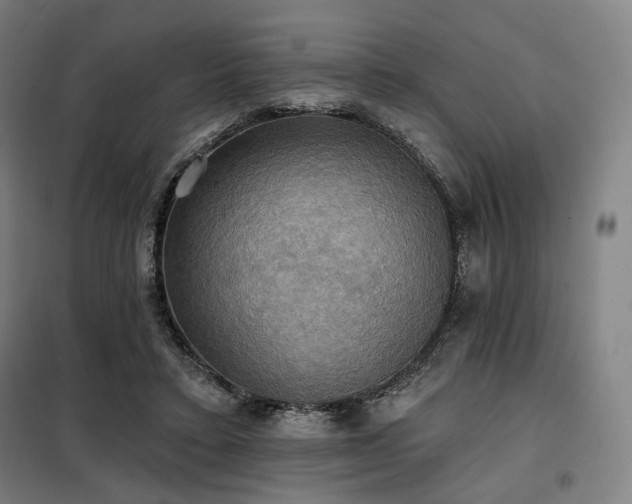 X0000098110403200804041349