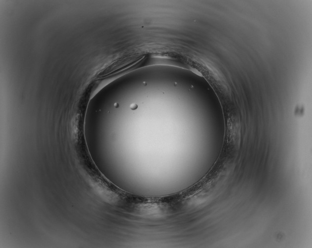 X0000098110404200804041349